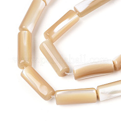 天然トロチッドシェル/トロカスシェルビーズ連売り  コラム  小麦  16~18.5x6mm  穴：0.9mm  約24個/連  15.28~15.67''（38.8~39.8センチメートル）&nbsp;BSHE-T014-06B