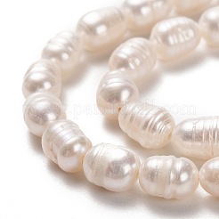 天然養殖淡水パールビーズ連売り  ライス  ビスク  7~8x5~6mm  穴：0.8mm  約43個/連  13.39インチ（34cm）&nbsp;PEAR-L033-64-01