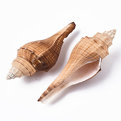 天然巻き貝の殻ビーズ  ドリルなし/穴なしビーズ  砂茶色  88~130x38~44x35~42.5mm&nbsp;SSHEL-T015-03