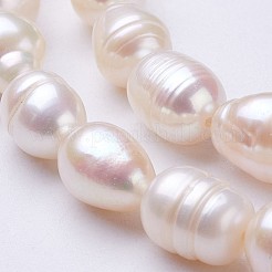 天然養殖淡水パールビーズ連売り  ライス  貝殻色  9~11x8~9mm  穴：0.5mm  約35~36個/連  14インチ&nbsp;PEAR-P002-27