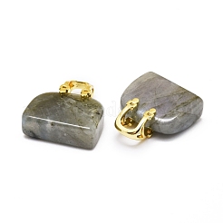天然ラブラドライト真鍮ペンダント  ゴールドカラー  バッグ  27~29x24~26x9~13mm  穴：6mm&nbsp;KK-E274-01G-04