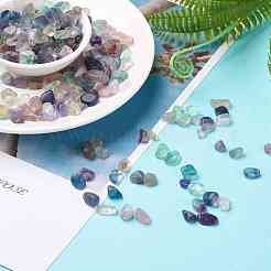 天然の蛍石ビーズ  穴なし/ドリルなし  ナゲット  タンブルストーン  花瓶フィラーの宝石  6~16x6~10x3~8mm  約1000個/1000g&nbsp;G-F710-11