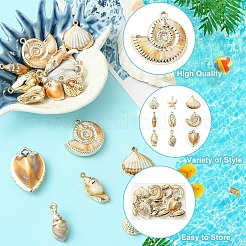 18個 9スタイル メッキアクリル模造シェルペンダント  貝殻の形/スタフィッシュチャーム  砂茶色  23~38.5x9.5~34.5x5~15mm  穴：1.7~4mm  2個/スタイル&nbsp;PACR-YW0001-42