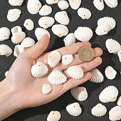 200g天然シェルペンダント  貝殻の形のチャーム  ホワイト  20.5~30.5x25~40x9~13mm  穴：1.5~1.6mm&nbsp;SSHEL-YW0001-14