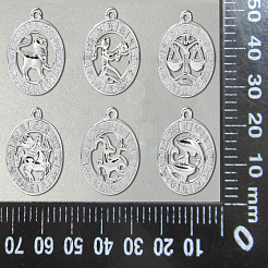 合金ペンダント  星座チャーム12個付きフラットラウンド  プラチナ  23x20x2mm  穴：1.4mm  12個/セット&nbsp;FIND-CJC0017-13P