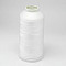 Nylon Braided Thread, Cord For Tassel Making, White, 0.3mm, about 1093.61 yards(1000m)/roll