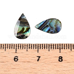 天然パウア貝のティアドロップカボション  アクリルバック付き  12.5x7.5x0.5mm&nbsp;SSHEL-T017-12