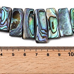 天然パウアシェルビーズ連売り  台形  トップ掘削  カラフル  15.5~31x10~11x4~5mm  穴：0.7~0.9mm  約13個/連  5.51''（14センチメートル）&nbsp;BSHE-S305-01B