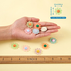 樹脂製のつや消しカボション  イヤリング＆ボビーピンアクセサリーのDIY  デイジーの花  ミックスカラー  23x23mm  6個/カラー  30個/箱&nbsp;RESI-TA0001-26