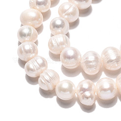 天然養殖淡水パールビーズ連売り  ポテト  乳白色  7~8x6.5~10mm  穴：0.6mm  約24個/連  6.69~6.89インチ（17~17.5cm）&nbsp;PEAR-N026-04