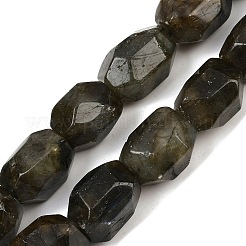 天然石ラブラドライトビーズ連売り  多面カット  ナゲット  19.5~23x14~15.5x13.5~15.5mm  穴：0.9mm  約18~19個/連  14.96~15.47''（38~39.3センチメートル）&nbsp;G-F796-C10-01