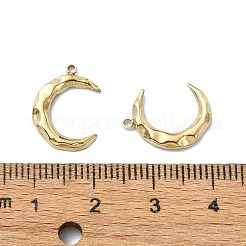 304ステンレスペンダント  ムーンチャーム  14KGP本金メッキ  15.5x12x1.8mm  穴：1.2mm&nbsp;STAS-L022-336G