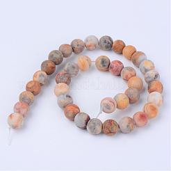 天然クレイジーレースアゲートビーズ連売り  ラウンド  艶消し  6~6.5mm  穴：1mm  約58~60個/連  14.5インチ&nbsp;G-Q462-6mm-12