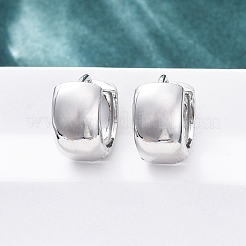 真鍮製フープピアス  ラックめっき  長持ちメッキ  鉛フリー＆カドミウムフリー  プラチナ  14x8.5mm&nbsp;EJEW-Q015-21C-P