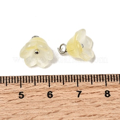 ガラスチャーム  花  プラチナトーンの真鍮ループとグリッターパウダー付き  グラデーションカラー  きいろ  10.5x11mm  穴：2mm&nbsp;GLAA-G127-03B