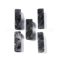 天然ラルビカイトビーズ  直方体の  13x4x4mm  穴：1.4mm&nbsp;LS-G-G137-01M