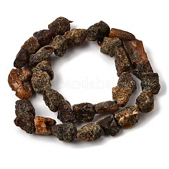 未加工の天然琥珀ビーズ連売り  ナゲット  11~26x11.5~15x8~10mm  穴：1mm  約29~33個/連  14.76''（37.5~39センチメートル）&nbsp;GG-CBAC13F-D01-02