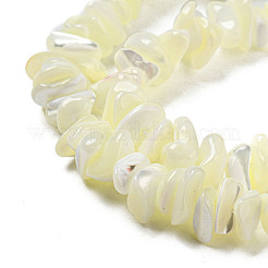 天然ニシキウズガイシェルビーズ連売り  ナゲット  ベージュ  3~5x8~10x6~8mm  穴：0.7mm  約110~112個/連  15.35~16.14''（39~41センチメートル）&nbsp;SSHEL-H072-12
