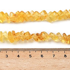 天然琥珀ビーズ連売り  菱形  ゴールド  6.5~7.5x6.5~7.5x2.5~3.5mm  穴：0.7mm  約75個/連  14.76''~14.96''（37.5~38センチメートル）&nbsp;G-K376-C02-01