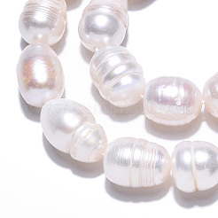 天然養殖淡水パールビーズ連売り  バロックケシパールライスビーズ  貝殻色  10~16x11~12mm  穴：0.7~0.8mm  約27~28個/連  13.98インチ（35.5cm）&nbsp;PEAR-N012-11A