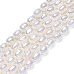 天然養殖淡水パールビーズ連売り  ライス  貝殻色  4.5~5x3~4mm  穴：0.7mm  約68~69個/連  14.17インチ（36cm）&nbsp;PEAR-N012-03F