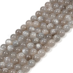 ナチュラル グレー ムーンストーン ビーズ 連売り  ラウンド  8~9mm  穴：0.8mm  約48個/連  15.43''（39.2センチメートル）&nbsp;G-G206-A01-8mm