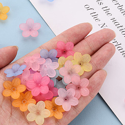 つや消しアクリルビーズキャップ  5花びら  花  ミックスカラー  19.5x20x5.5mm  穴：1.6mm  約740個/500g&nbsp;MACR-S371-08A
