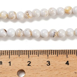 合成石とトロカス貝のビーズ連売りを組み立てたもの  染め  ラウンド  ベージュ  4~4.5mm  穴：0.6mm  約91個/連  15.63''（39.7センチメートル）&nbsp;G-B128-08A-01