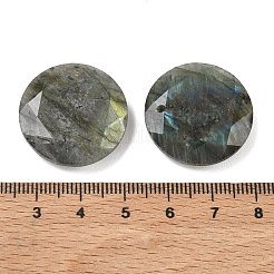 天然石ラブラドライトペンダント  フラットラウンドいファセットカットのチャーム  25x5mm  穴：1.4~1.6mm&nbsp;G-K381-29