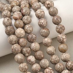 天然のマイファナイト/マイファンストーンビーズ連売り  ラウンド  10~11mm  穴：1mm  約37~39個/連  14.8~15インチ&nbsp;G-R345-10mm-40-1