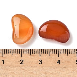 天然石瑪瑙ビーズ  穴がないビーズ  染め＆加熱  豆  砂茶色  17.5x12x6mm&nbsp;G-L646-07