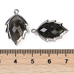 天然ラブラドライトのファセットリーフペンダント  ラックメッキ真鍮チャーム  プラチナ  23x13.5x5.5mm  穴：1.2mm&nbsp;G-I375-04P-08