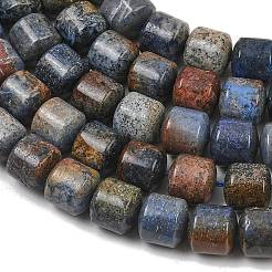 天然デュモージェライトビーズ連売り  コラム  10x10mm  穴：1mm  約39個/連  15.55''（39.5センチメートル）&nbsp;GG-CBAC4F6-A01-02A