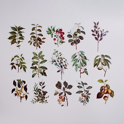 植物をテーマにした防水自己粘着スタンピングステッカーセット  diyハンドアカウントフォトアルバム装飾ステッカー  フルーツの模様  65~99x53~65mm  40個/袋&nbsp;DIY-WH0163-08B