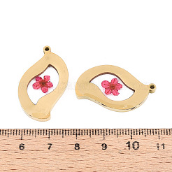 304ステンレスエポキシ樹脂ペンダント  乾燥した花のついた葉  イオンプレーティング（ip）  18KGP本金メッキ  サクランボ色  30x18x3mm  穴：1.6mm&nbsp;STAS-T072-32