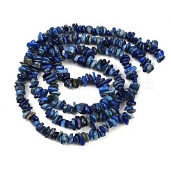 天然石ラピスラズリビーズ連売り  チップ  2~7x5~17x5~6mm  穴：0.9mm  30.71~31.50''（78~80センチメートル）&nbsp;G-Q060-C04