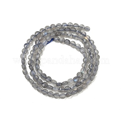 天然石ラブラドライトビーズ連売り  フラットラウンド  多面カット  3.8x2.5mm  穴：0.7mm  約107個/連  15.35''（39センチメートル）&nbsp;G-R462-008-01