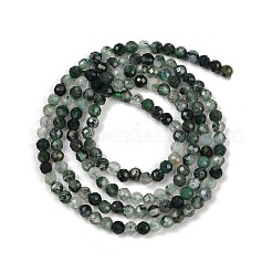天然石モスアゲートビーズ連売り  多面カットラウンド  3mm  穴：0.8mm  約126個/連  15.5インチ&nbsp;X-G-A129-3mm-01