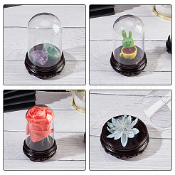 プラスチックドームカバー  装飾ショーケース  アクリルイミテーションウッドベースのクローシュベルジャーテラリウム  プリザーブドフラワーのDIYギフトに  透明  72x113mm&nbsp;GLAA-WH0038-04A