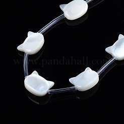 天然ホワイトシェルビーズ連売り  猫  8x10x3~4mm  穴：0.5~0.6mm  約20個/連  16.30インチ〜17.52インチ（41.4cm〜44.5cm）&nbsp;SSHEL-S278-124A