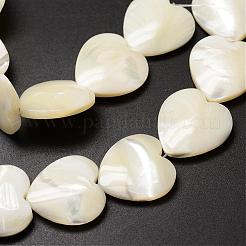 天然トロチッドシェル/トロカスシェルビーズ連売り  ハート  乳白色  18~19x18~19x4~6mm  穴：1mm  約21個/連  15.35インチ&nbsp;SSHEL-K012-02
