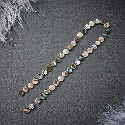 天然アワビシェル/パウアシェルビーズ  フラットラウンド  8x3mm  穴：0.5mm  30個/箱&nbsp;SSHEL-BC0001-09