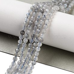 多面カットラウンド天然ラブラドライトビーズ連売り  3mm  穴：1mm  約124個/連  15.5インチ&nbsp;G-I156-03-3mm