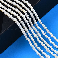 天然養殖淡水パールビーズ連売り  ポテト  貝殻色  2~3x1.5~2.5mm  穴：0.5mm  約141~145個/連  13.98インチ〜14.17インチ（35.5cm〜36cm）&nbsp;PEAR-N013-02B