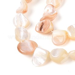 天然石シーシェルビーズ連売り  ナゲット  小麦  9~21x7.5~24x3~12mm  穴：0.5~0.7mm  約28~34個/連  14.57~15.35インチ（37~39cm）&nbsp;SSHEL-N041-02A
