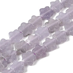 天然レピドライト/パープルマイカストーンビーズ連売り  梅の花  6x6x2.5mm  穴：0.8mm  約67~68個/連  15.20''~15.47''（38.6~39.3センチメートル）&nbsp;G-B138-C18-01