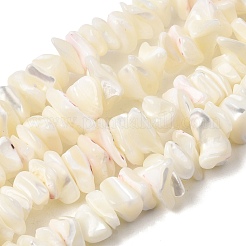 パールシェルチップビーズ連売りの天然な白い母  シェルの破片  5~15x5~8mm  穴：1mm  約31.5インチ&nbsp;G-M205-63