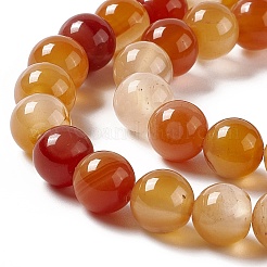 天然石赤瑪瑙ビーズ連売り  グレードAB  ラウンド  8mm  穴：1mm  約47~49個/連  14.96インチ（38cm）&nbsp;G-C011-01C