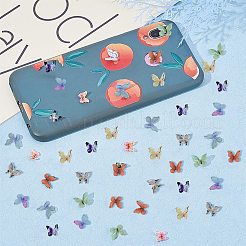 プラスチックカボション  蝶  DIY工芸品の装飾用  ミックスカラー  8~13x10.5~15x2.5~3.5mm  80個/箱&nbsp;KY-SC0001-05