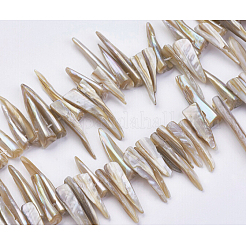 天然石シェルビーズ連売り  ナゲットスティック  ペルー  22~40x5~9x1mm  穴：1mm  約80個/連  14.56インチ（37cm）&nbsp;BSHE-P026-25